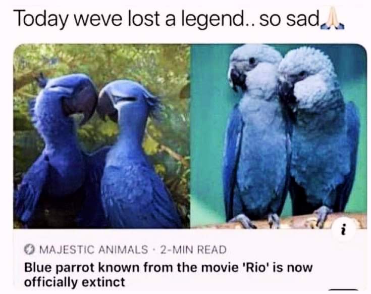 #save the Earth 🌎 
#SaveSoil 
Save soil savelife
 Blue parrots are officially extinct.