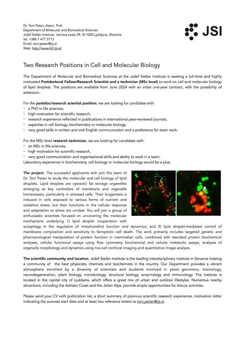 Toni Petan (@petanlab) on Twitter photo Postdoc and technician positions available <a href="/PetanLab/">Toni Petan</a> to work on lipid droplets, autophagy and ferroptosis! Contact toni.petan@ijs.si for more details. Please retweet. #lipiddroplets #autophagy #ferroptosis Postdoc and technician positions available <a href="/PetanLab/">Toni Petan</a> to work on lipid droplets, autophagy and ferroptosis! Contact toni.petan@ijs.si for more details. Please retweet. #lipiddroplets #autophagy #ferroptosis
