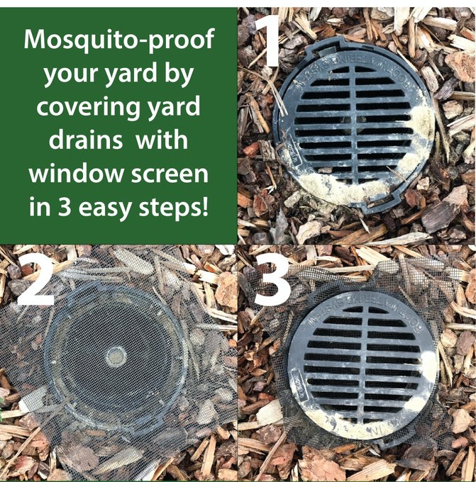 Drains in your yard can be a breeding ground for mosquitoes.  Here’s an easy tip to mosquito proof those drain.  #TuesdayTip #iHateMosquitoes