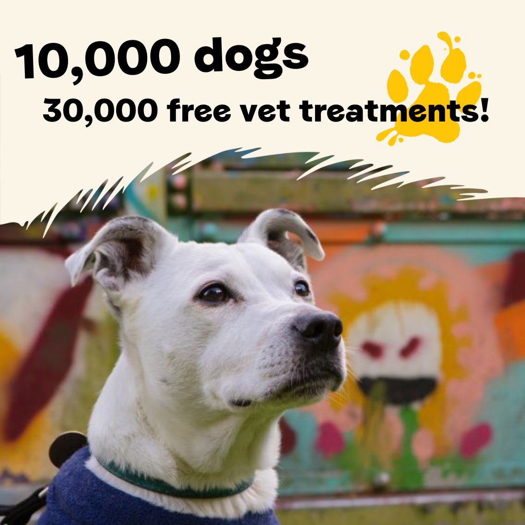 🥳 Our Together Through Homelessness scheme provides free vet care across the UK to the dogs of people experiencing or at risk of homelessness. It has now supported 10K dogs with over 30K free treatments! It has saved dogs’ lives and helped them stay with those who love them most