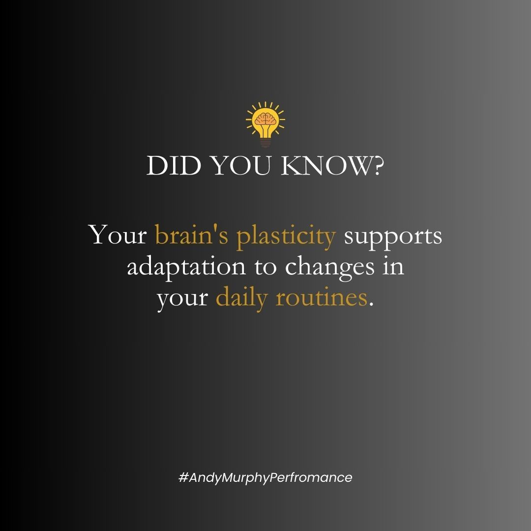 Embrace change in your daily routine and watch your brain flourish. 🌞🔄 

#DidYouKnow  #RoutineRevamp #FamilyOffices #NextGenWealth #HedgeFunds #PrivateEquity #HighPerformance #MurphyFinance #PersonalOptimization #TheEdge #PeakPerformance #AchieveYourPeak #AndyMurphy #LawFirms