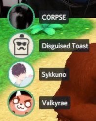 𝖇eci 🥬 tweet media