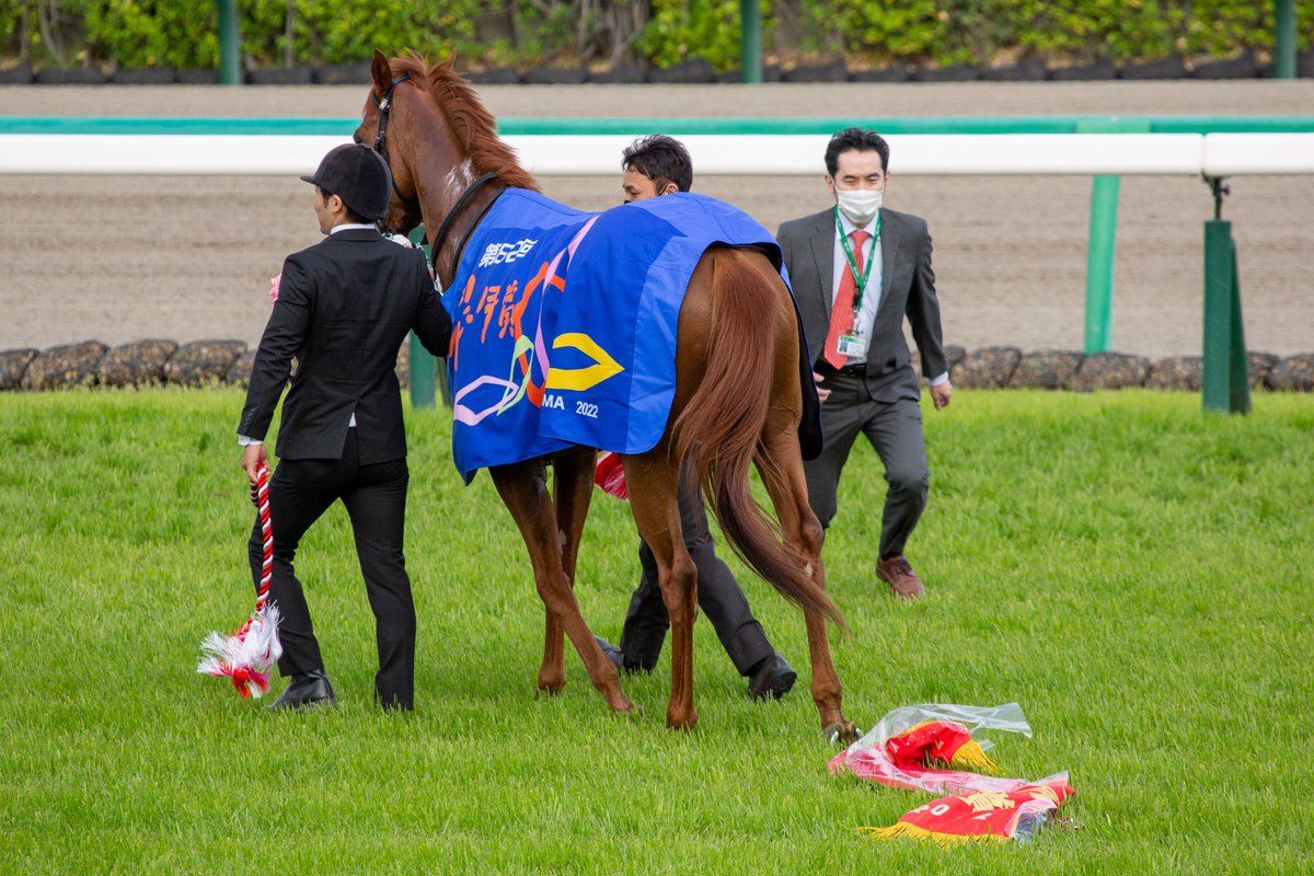 皐月賞の優勝レイをポイ捨てするジオグリフ
#軽い気持ちでツイートしたら思った以上に反響があったツイート