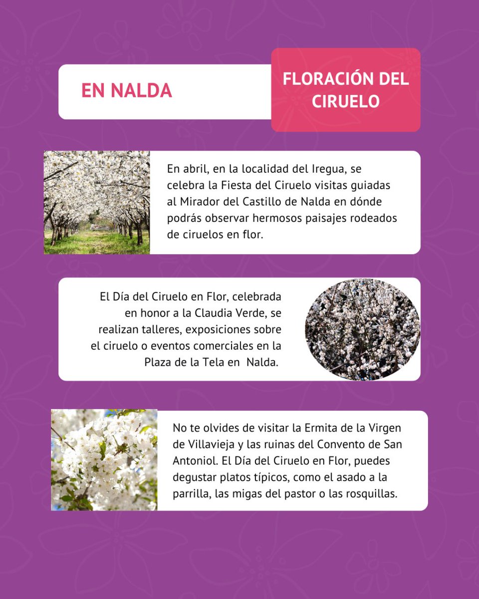 floracionspain tweet picture