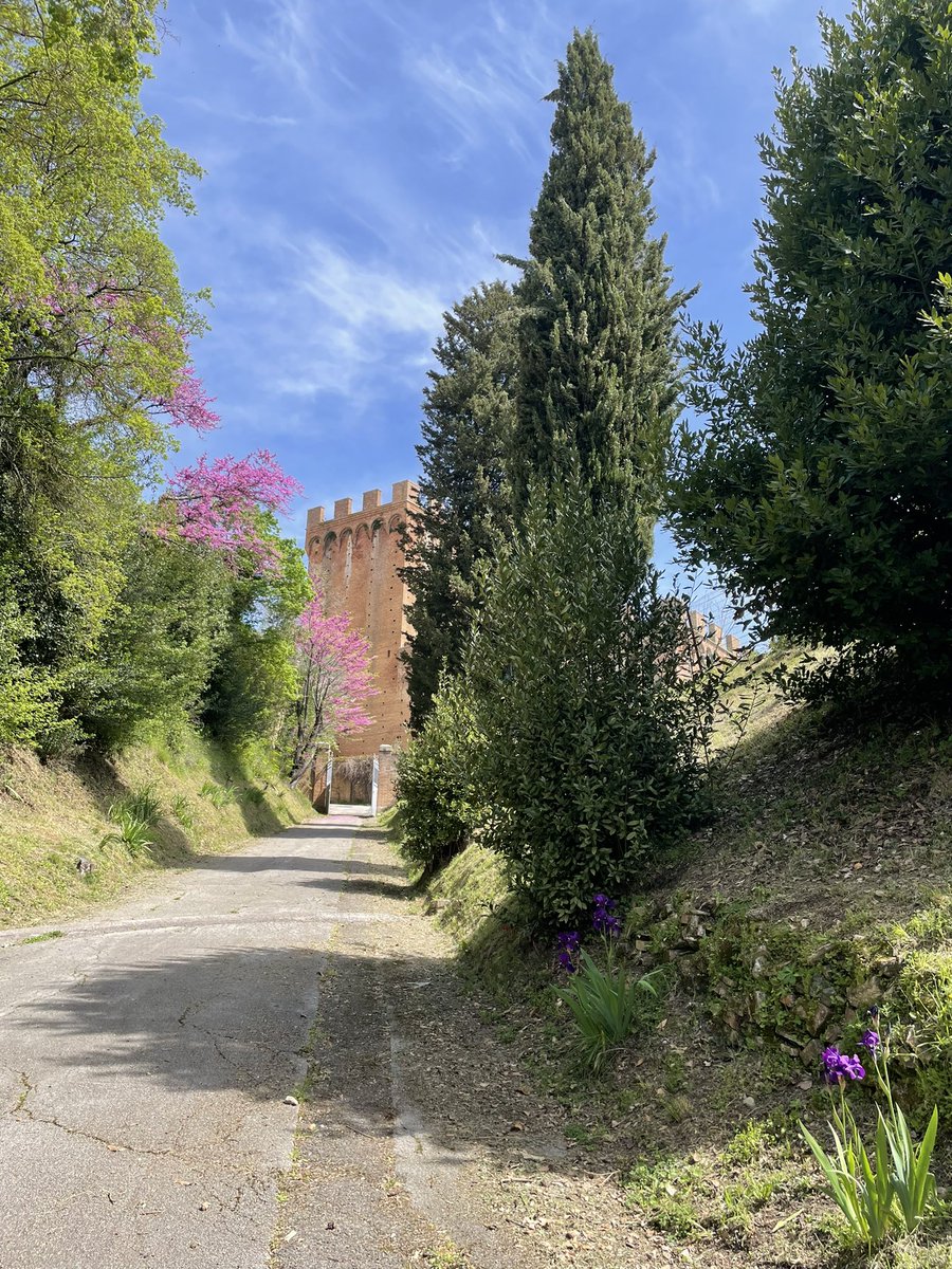 Our beautiful spring driveway! 🪻🌼🌷🌸💐