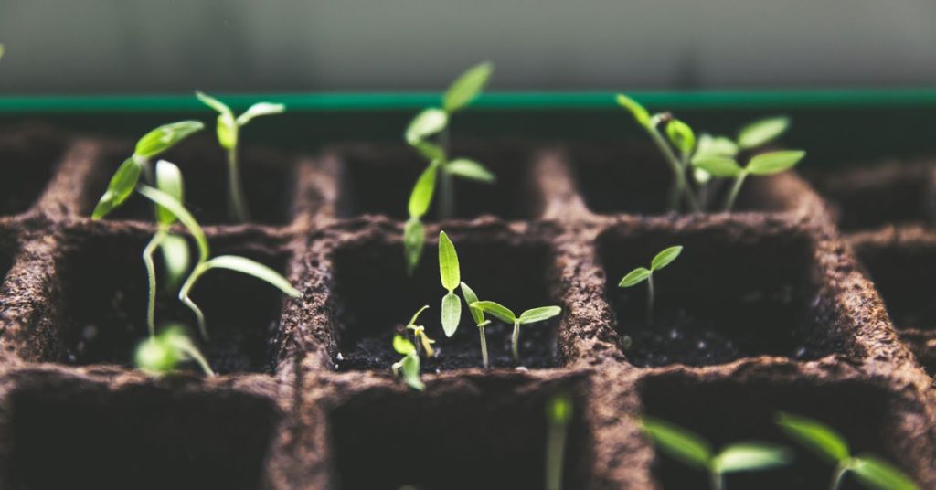 Exciting times in the world of #agroecology! From innovative farming techniques to sustainable food systems, it's inspiring to see the momentum towards a more #resilient and equitable #agricultural future.