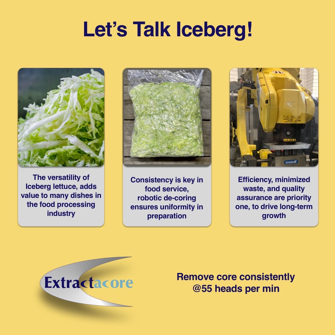ExtractaCore's tweet photo. De-core your way to efficiency! Streamline processing and boost your yield with precision solutions. 🌱🚀 

#Efficiency #StreamlinedProcessing #BoostYield #fanucrobotics #lettuce #freshproduce https://t.co/Inwj7NGWBe