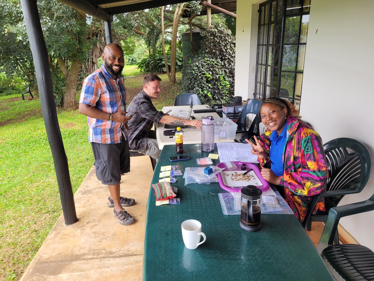 The last days of fieldwork at #MutiMuti, #Eswatini. Wrapping up, washing, sampling. Glad to have an amazing team and a good view. @BreenyBee, @Nina__Stahl , @travis27411 @JorgLinstadter @Gunther_Moeller