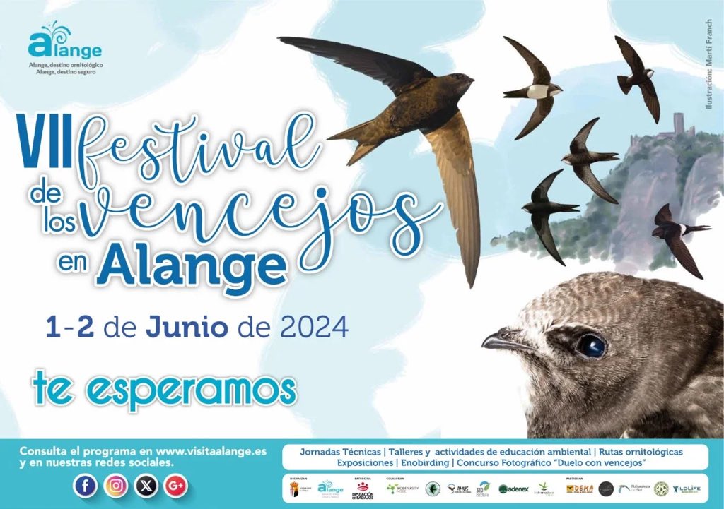 El 1-2 de junio estaremos en el 7 Festival de los Vencejos en Alange. @TurismodeAlange