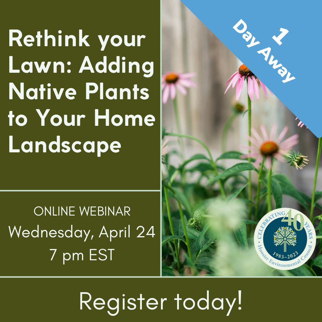 WEBINAR TOMORROW! 📅 Our free webinar, Rethink your Lawn: Adding Native Plants to Your Home Landscape, starts at 7pm E.T., tomorrow Apr. 24st. RSVP to receive the zoom link. 🔗secure.everyaction.com/ZEl1vaVbcE2QMN… #NativePlants #Sustainability #Gardening