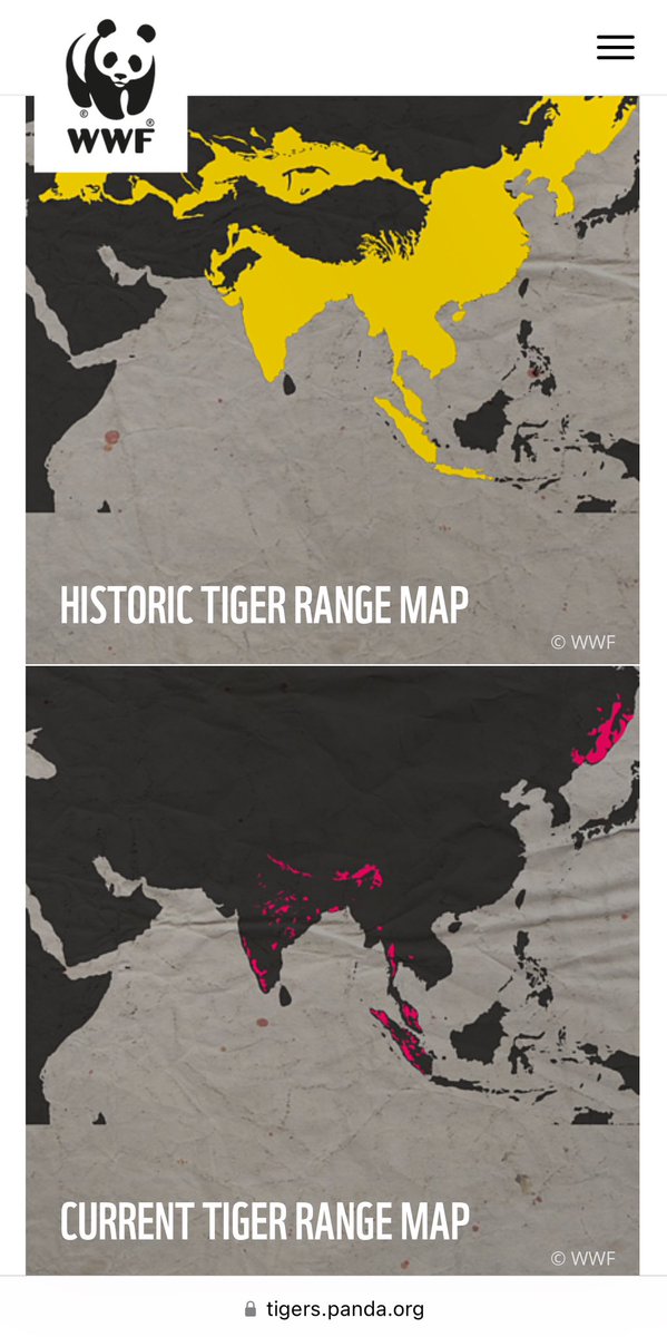 #Bhutan 🇧🇹—that Hannah Fairbank of @theGEF speaks the truth! Linkages 🔗 matter. #ForThePlanet 🐅

linkedin.com/posts/curtis-s…

#SustainableFinance #Tiger #Tigers #Conservation #EarthDay @IUCN @ADB_HQ @WorldBank @UNDP @WWFINDIA @WWF @WWFBhutan @BhutanFdn @RobbieBisset @cmrodrigueze