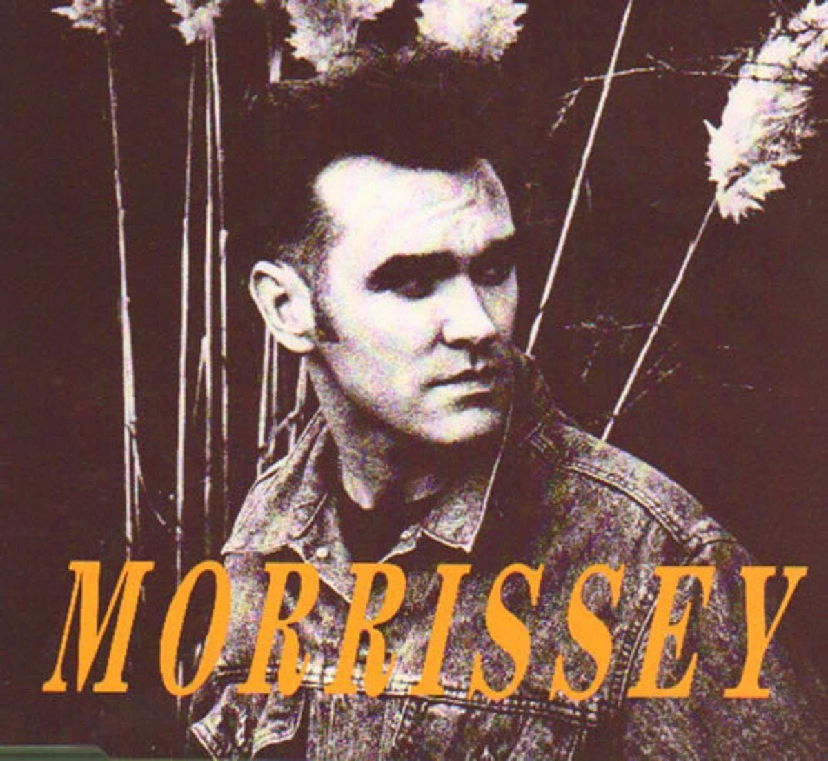 Happy anniversary to Morrissey’s single, “November Spawned A Monster”. Released this week in 1990. #morrissey #moz #novemberspawnedamonster #bonadrag #heknowsidlovetoseehim