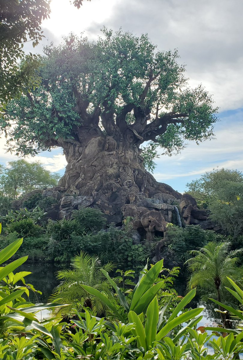 Every time I look at the Tree of Life at #disneysanimalkingdom, I see something new. So much love and artistic ability in that tree. Have a great Tuesday, everyone! #findyourjoy