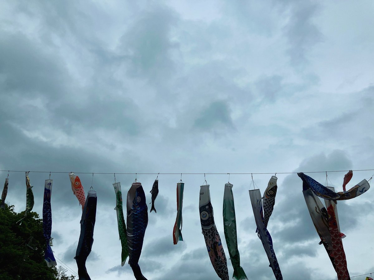 Watching the carp streamers sway in the breeze on a tranquil spring day is truly mesmerizing. 

It's a beautiful tradition in Japan that symbolizes family bonds and children's growth. 

#carpstreamers #springscenery #familytime #japanesetradition #childrenssmiles #familybonds