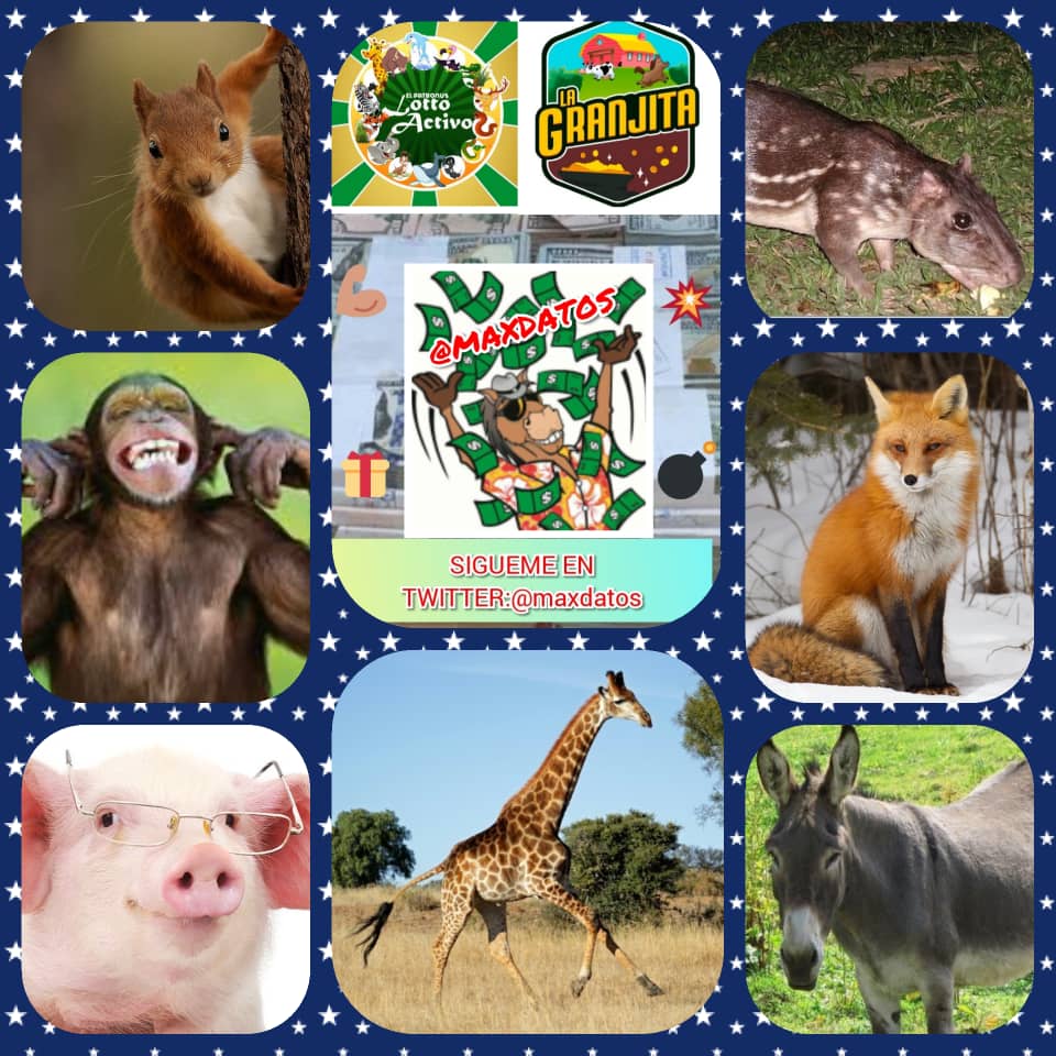 maxdatos's tweet image. BUEN DÍA GRUPO AQUÍ MI PEQUEÑO APORTE PARA HOY 23/04 SUERTE 🤑🍀🤑🍀🤑