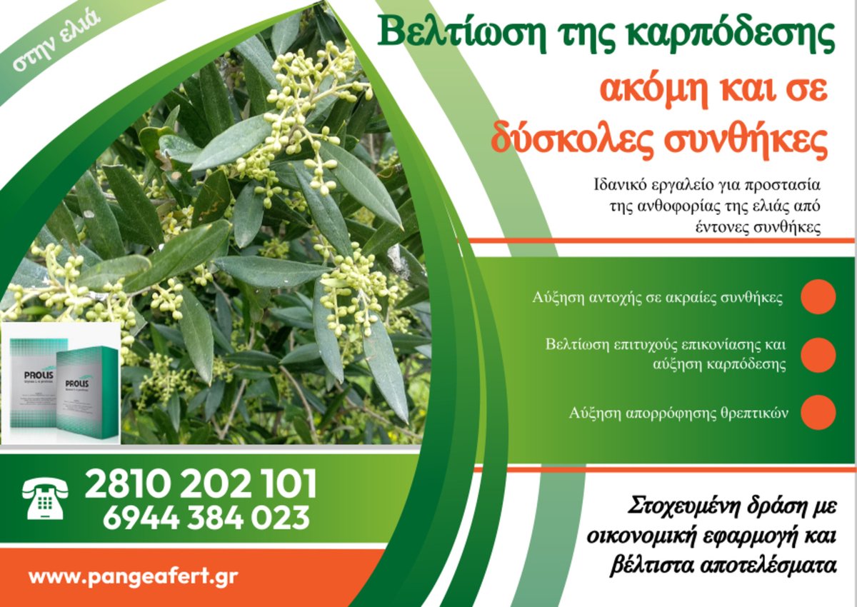 AdamChachlakis's tweet photo. Prolis- Πρωτοποριακό σκεύασμα με στοχευμένη δράση 🎯 
Βελτίωση της καρπόδεσης, ακόμη και σε δύσκολες συνθήκες
Ιδανικό εργαλείο για προστασία της ανθοφορίας της ελιάς από έντονες συνθήκες(ισχυρούς και ξηρούς ανέμους κα)
https://t.co/3jculoSFmO 
#prolis #Pangeafert #ανθοφορια_ελιας https://t.co/AOgZfrsSNr
