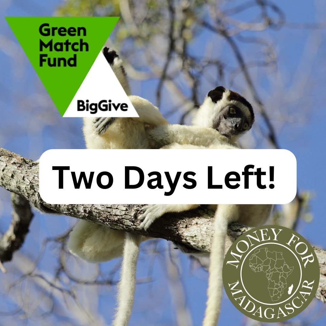 THE GREEN MATCH FUND HAS TWO DAYS LEFT! Donate here ❤️🌱 buff.ly/4cXrDmZ