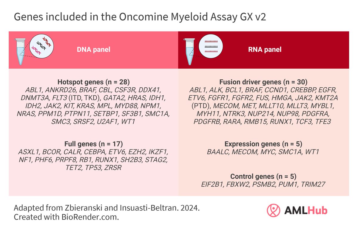 Is automated semiconductor-based NGS viable in AML? Read our summary of a validation of the Oncomine Myeloid Assay GX v2 in myeloid malignancies here: loom.ly/jP9QrwE #leusm #AMLsm