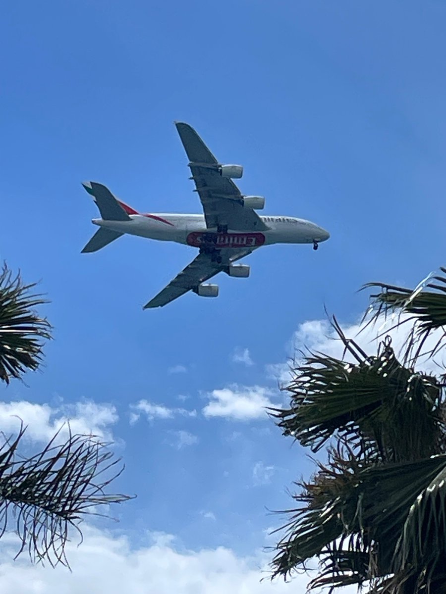 C'est du lourd #CotedAzurFrance #Nice06 @bdaedit #Baiedesangeseditions #polarnicois #avion #Airbus 🌞🌴☂️