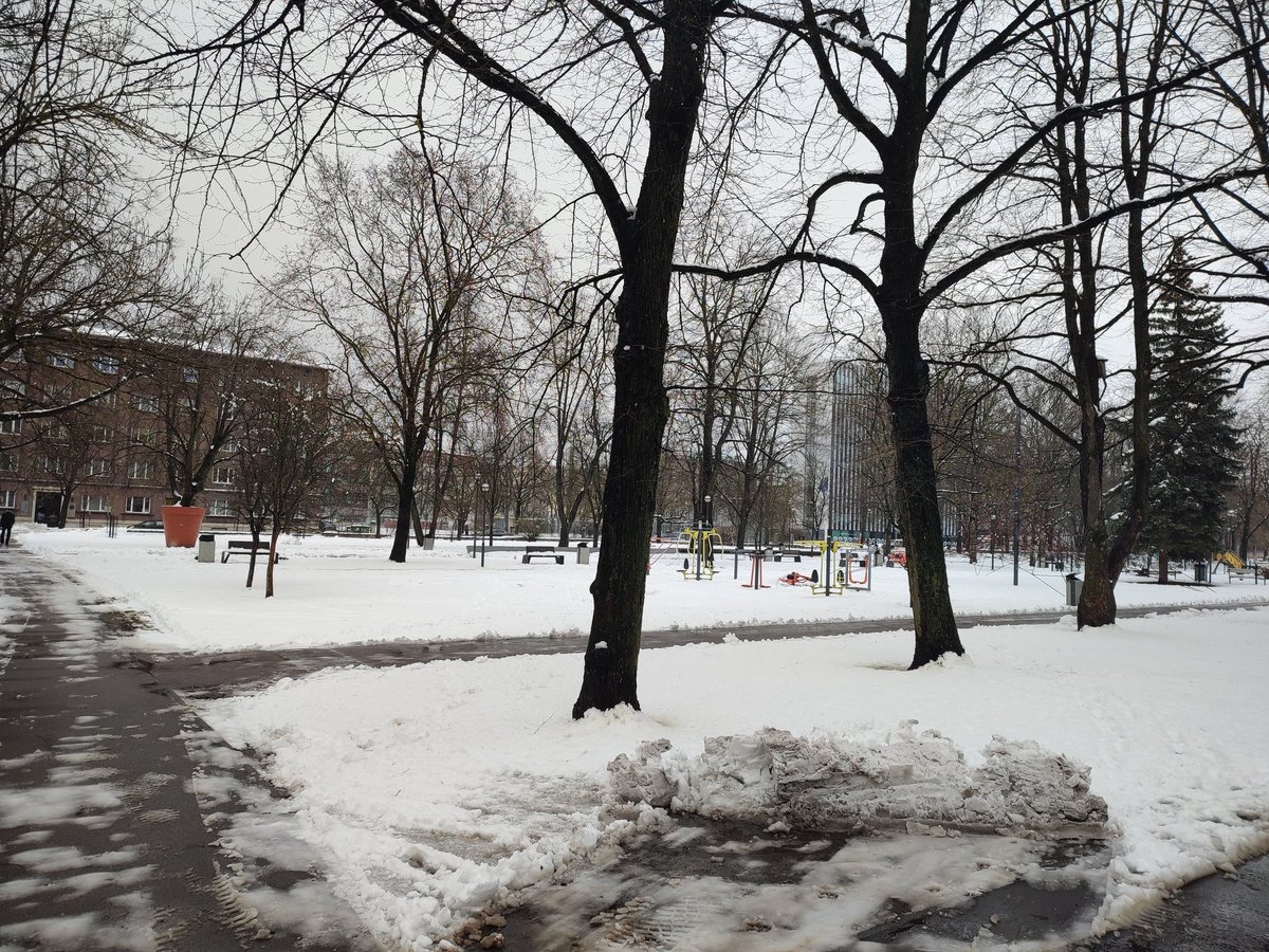 paalmerero's tweet photo. Vente a Estonia que no hace tanto frío, en primavera se pasa. 23 de abril. Feliç Sant Jordi. https://t.co/Jq34HLOYL9