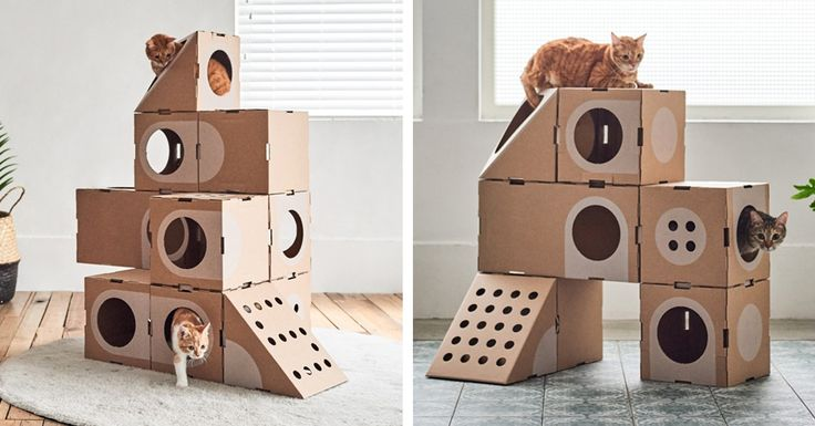 LoafCatHQ's tweet photo. @ChonkerCapital we are also closing a deal with a Chinese manufacturer. soon these special education training boxes are available for everyone. 

10 mins daily with box puzzle helps everyone to become masters of math https://t.co/vClpJeAiMa