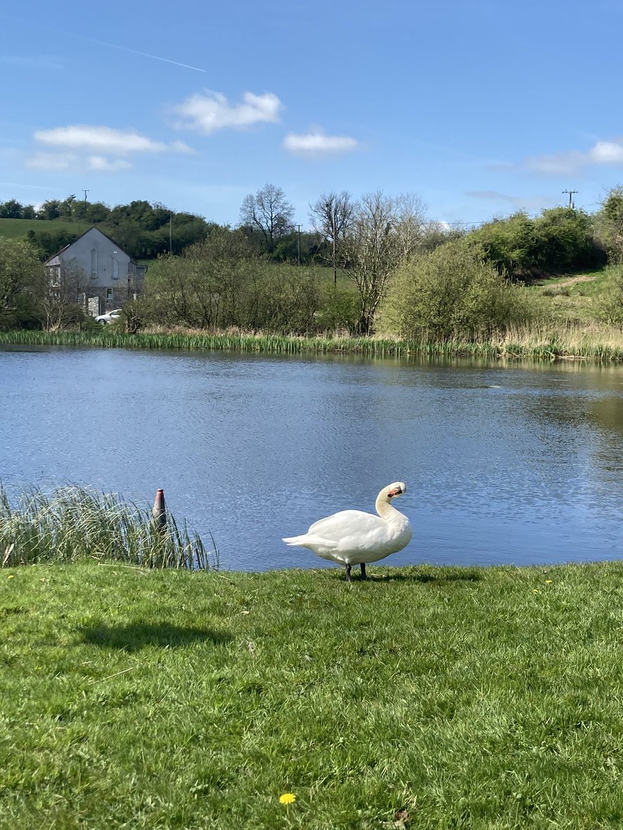 Ireland is quite breathtaking on the rare occasions the sun pops out 💚🍀