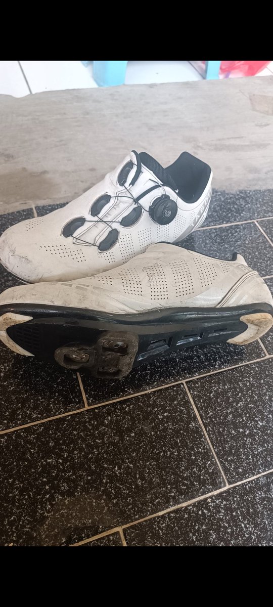 tokosi(brik) tweet media