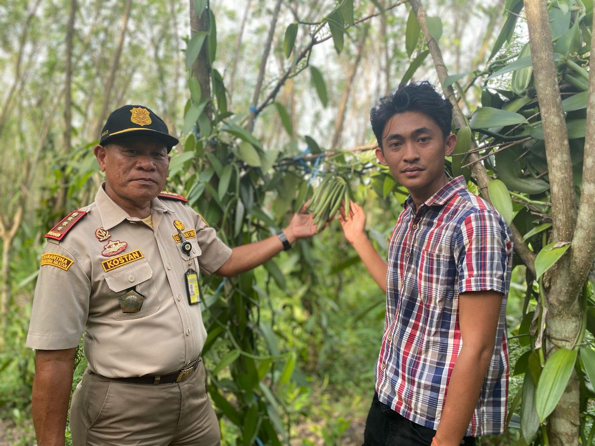 BarantinRI's tweet photo. Tinjau Desa Cecar, Karantina Sumsel Dukung Fasilitasi Ekspor Vanili

Kepala @karantinasumsel, Kostan Manalu didampingi Ketua Tim Kerja Karantina Tumbuhan Anita Setyawati kunjungi Desa Cecar, Musi Rawas Sumatera Selatan, untuk mendukung fasilitasi ekspor vanili pada Kamis (18/04). https://t.co/3kW4mirJXR
