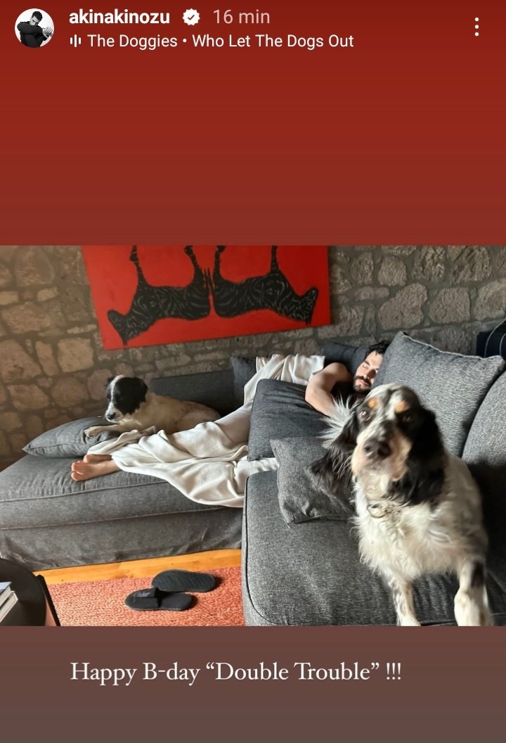 rc044880's tweet photo. Celebrando el cumpleaños de Archie 🐶🎂🐶

#AkınAkınözü https://t.co/UHOZzu2lI1