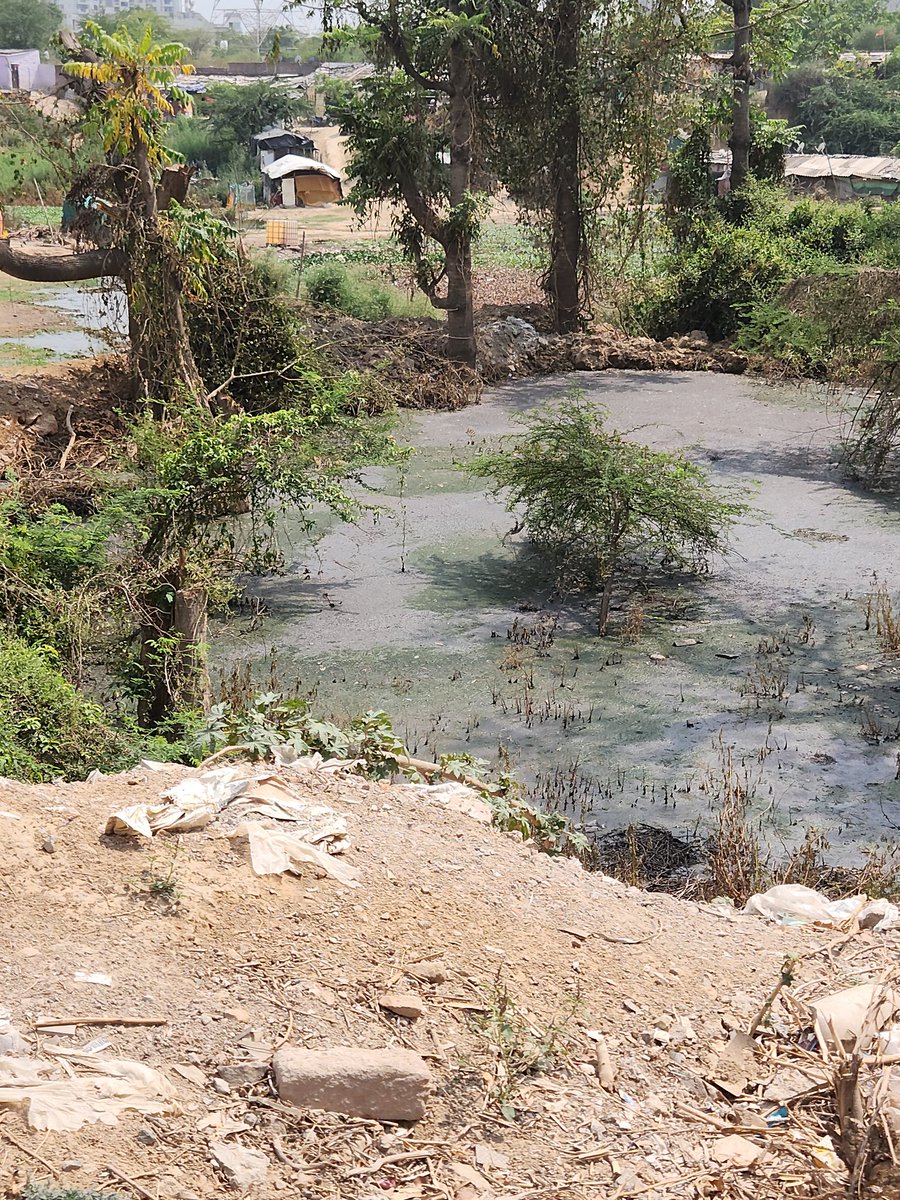 MukeshBaid1820's tweet photo. KALASAGAR WATERFALL"in faridabad GREENFIELD COLONY sector 43 gate no 2 and you can enjoy offroading also cause there is no road for residents.after many complaints in company office posting this here life becomes hell no one is taking care of this.This happens in ncr.@PMOIndia . https://t.co/zVeZLFBvM3