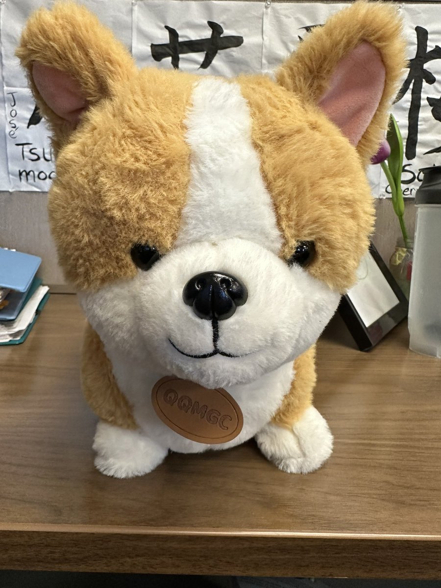 jeamdutch's tweet photo. Hey #ygk friends. Just found this doggy outside the KGH underground parking lot, by the exit on Stuart St. Please share so we can find her owner, I’m sure she’s missed. I’ll keep her safe in my office until the owner is found. @HeyBenMcLean can you help spread the word? Thanks! https://t.co/J2L5YHZNJO