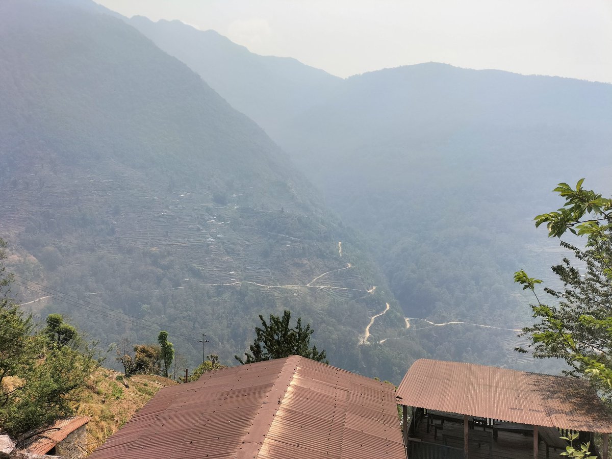 Julie Boothroyd tweet media