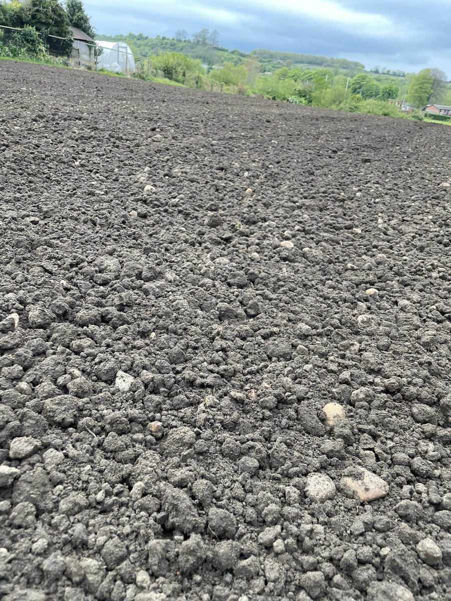 Unbelievably the ground had dried out lots so caught it with the power harrow after yesterdays rain and it came down a treat!