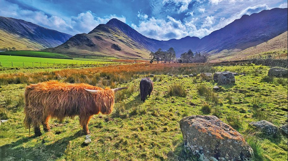 This month’s shortlisted photograph was taken by Trevor Earthy, of Cockermouth, and depicts “a heelan’ coo” at Buttermere 📷 To enter our photography competition, email your high-resolution pictures or post them to our usual address ✉️ cumbriamagazine.co.uk/contact/