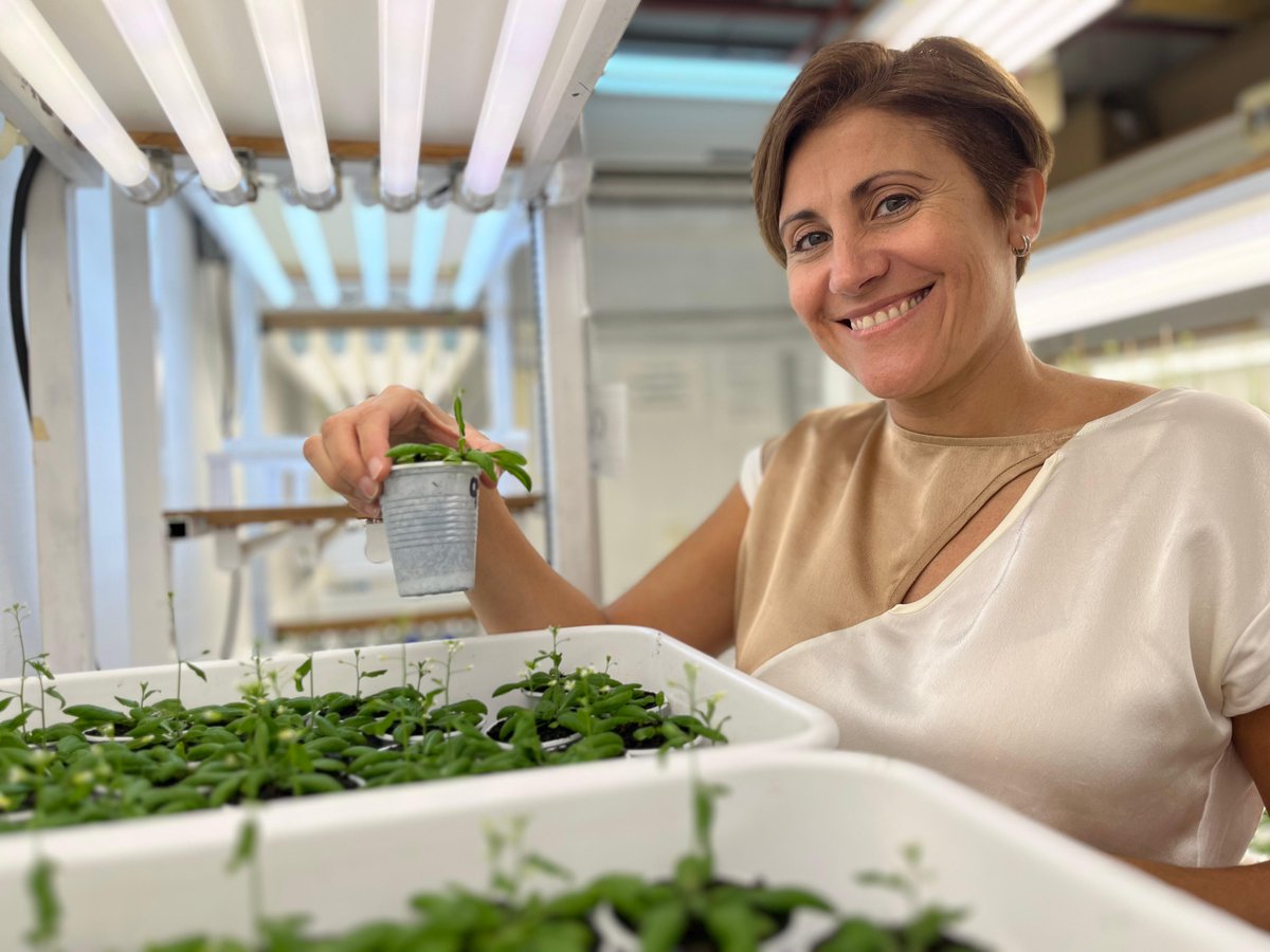 CEFOBI-CONICET-UNR tweet media