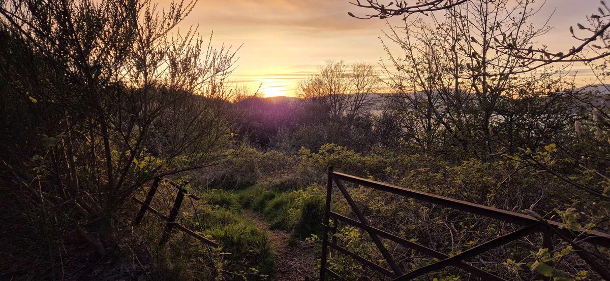 Just one of the views on Lyle Hill. Thanks to Darren Pollard for the photo 📸 Discover Inverclyde 👇 discoverinverclyde.com #DiscoverInverclyde #DiscoverGreenock #Greenock #Scotland #ScotlandIsCalling #VisitScotland #ScotlandIsNow