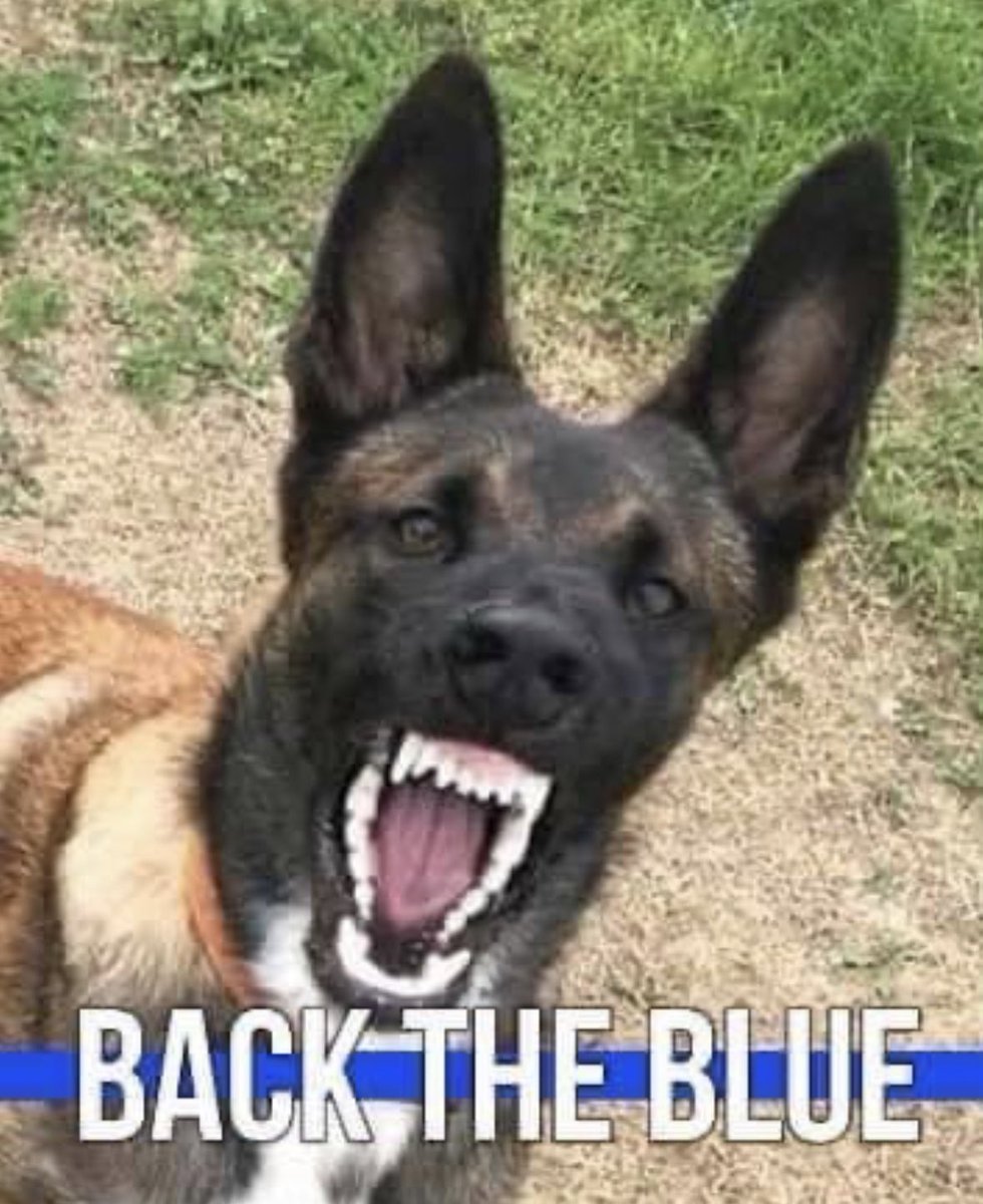 @accordingtowoz Good morning! 🇺🇸
#BackTheBlue