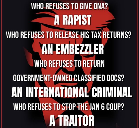 I don't want Donald Trump prosecuted because I don't like him. I don't want Donald Trump prosecuted because I don't like his policies. I want Donald Trump prosecuted because he broke the law multiple times. #DemVoice1 #BlueVoices #TrumpIsACriminal