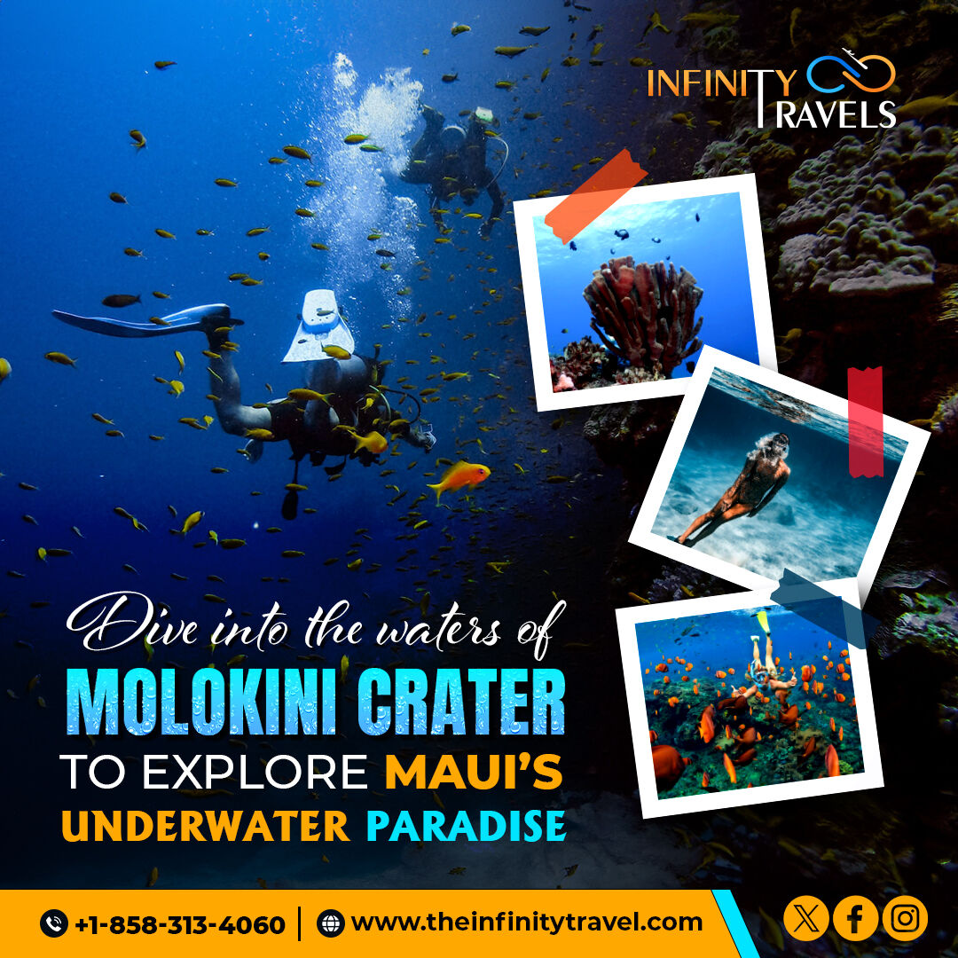 Experience the magic of Maui's underwater world at Molokini Crater. Plan your trip today to swim among pristine corals!

#Maui #MolokiniCrater #underwaterworld #pristinecorals #Hawaii #InfinityTravels
