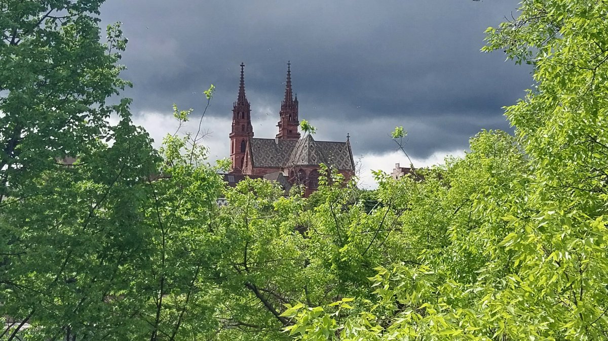 Bei der Wettsteinbrücke schenkt ein Rahmen blühender Baumkronen dem Münster auf seinem Hügel den Eindruck einer Basilika am Ende eines grünen Tales 💚 #basel #bäume