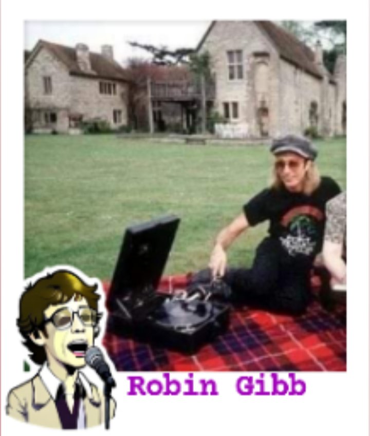 Robin photo of the day.#robingibb