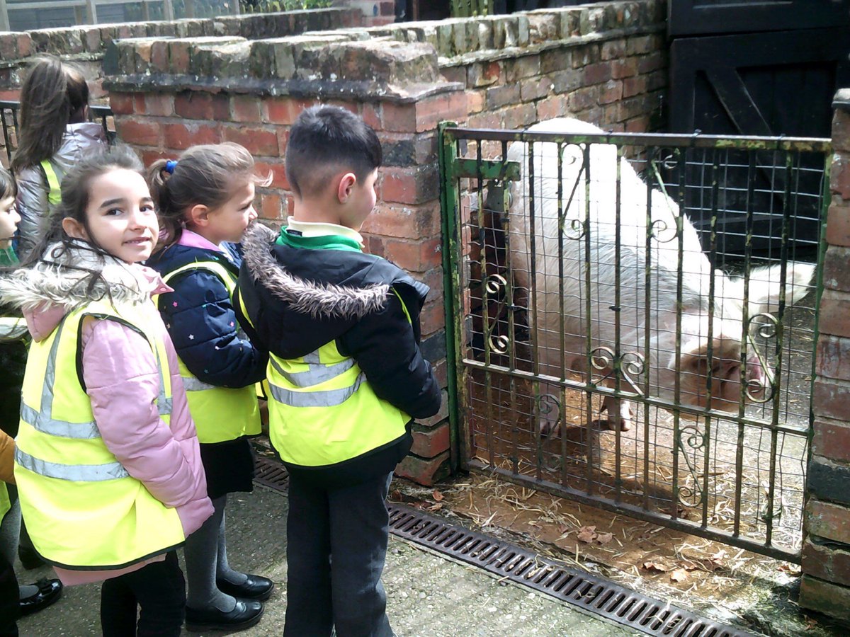 BordesleyGreenSchool tweet media