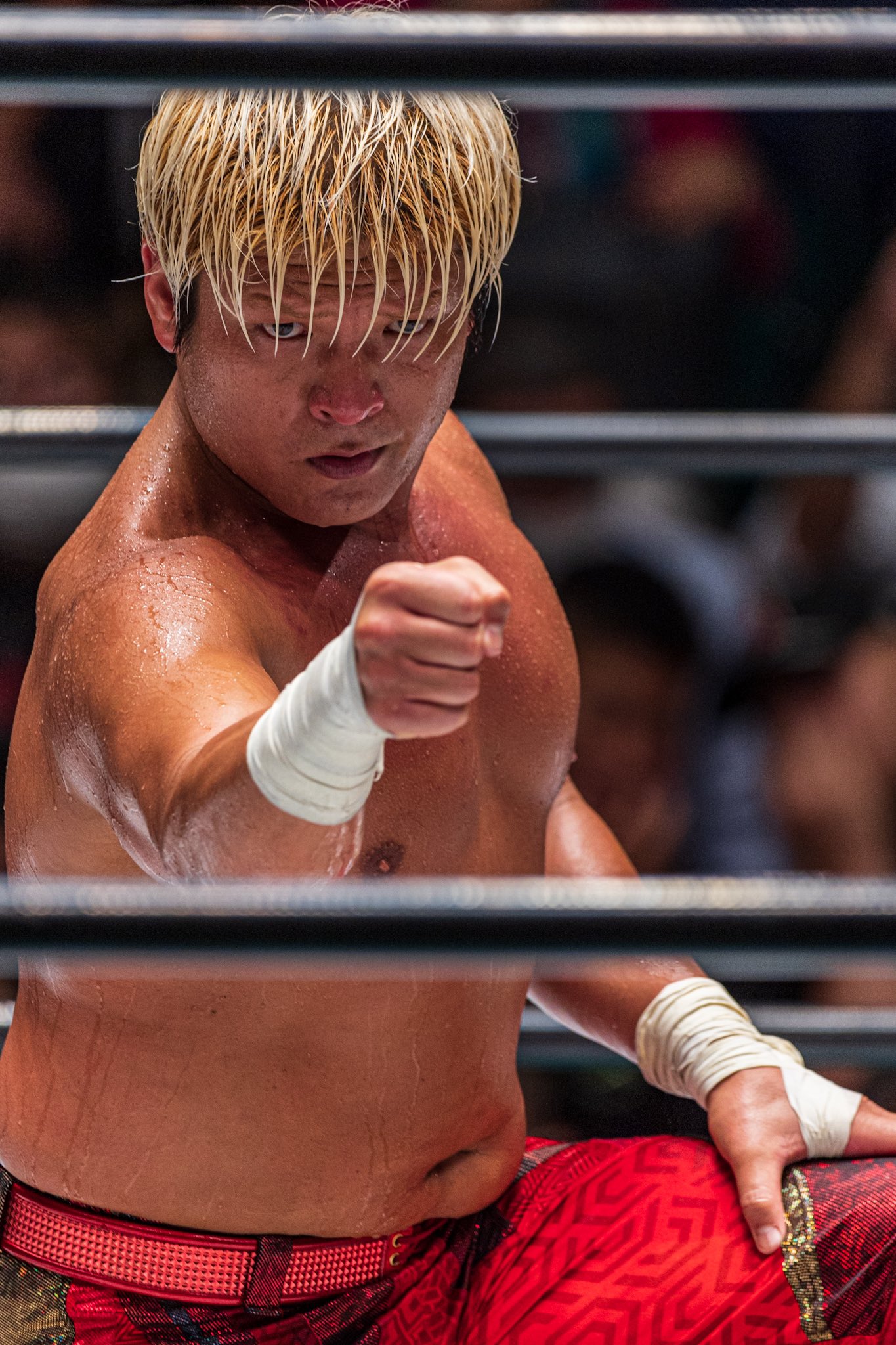 プロレス生写真 新ビジュカッコ良すぎる！！！ #藤田晃生 #koseifujita #njpw