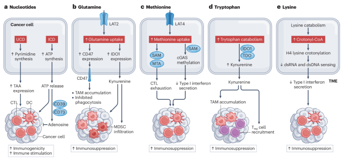 NEW Review: Cancer cell metabolism and antitumour immunity bit.ly/3xIIutA by @maraademartino @JeffRathmell @deadoc80 @CVanpouilleBox discusses mechanisms by which alterations of cancer cell metabolism interfere with immune functions