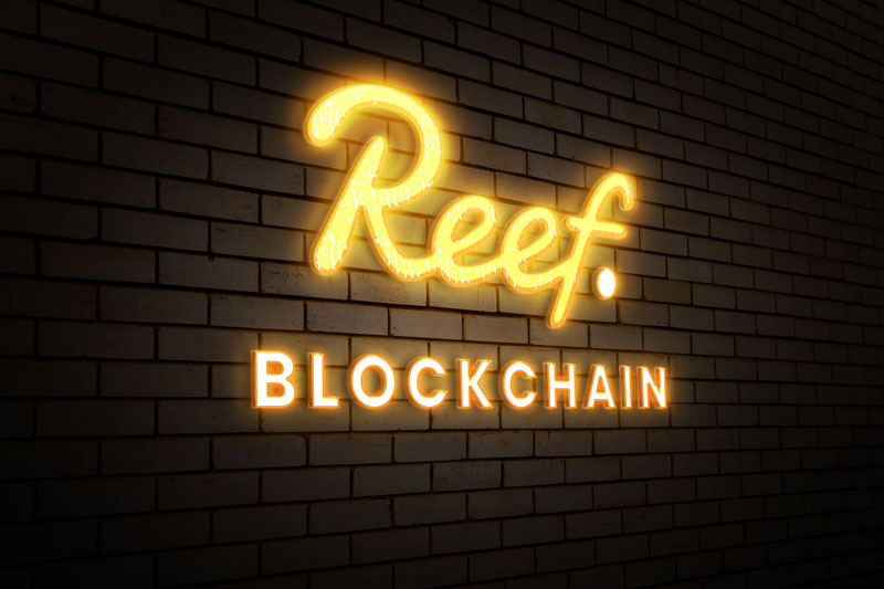 🎁 #Giveaway  TIME🎁

6,000 x $REEF to one lucky !

To Enter:
1⃣Follow @Layer100Crypto & @reef_mrdapps
2⃣Like & Repost
3⃣Like & Repost pinned post

48H ⏳ 

#ReefChain #MrDapps #REEF #Layer1 #BTC