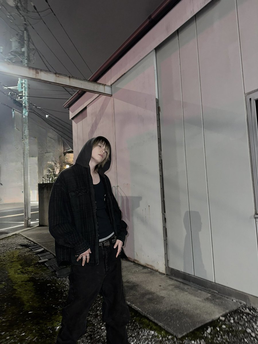 はやしん (@laters_hayashin) / Posts / X