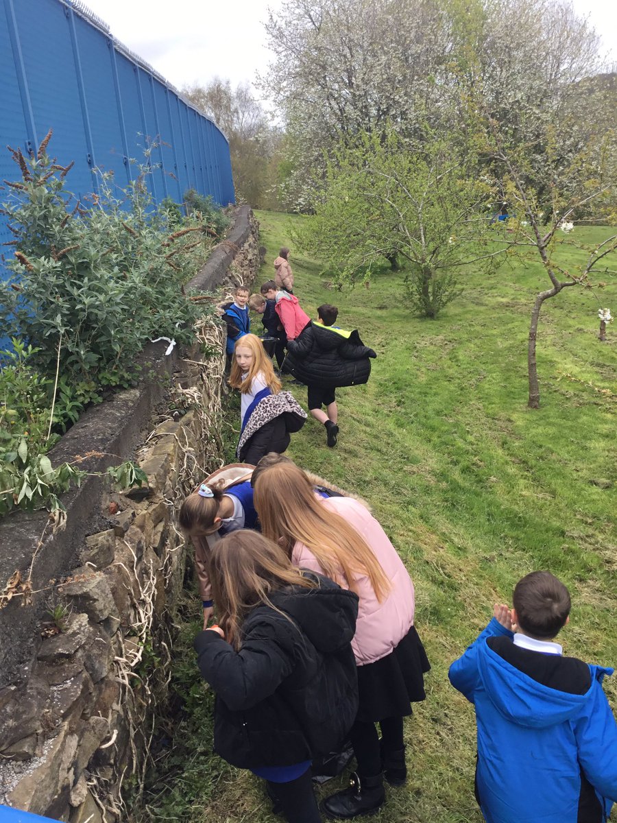 stjosephskly's tweet photo. #BirchClass leading by example on their ‘Social Day’ - picking up litter around school and our community! 🗑️♻️ @bcw_cat #SocialDay #CatholicEd https://t.co/q1g2AHFVzs