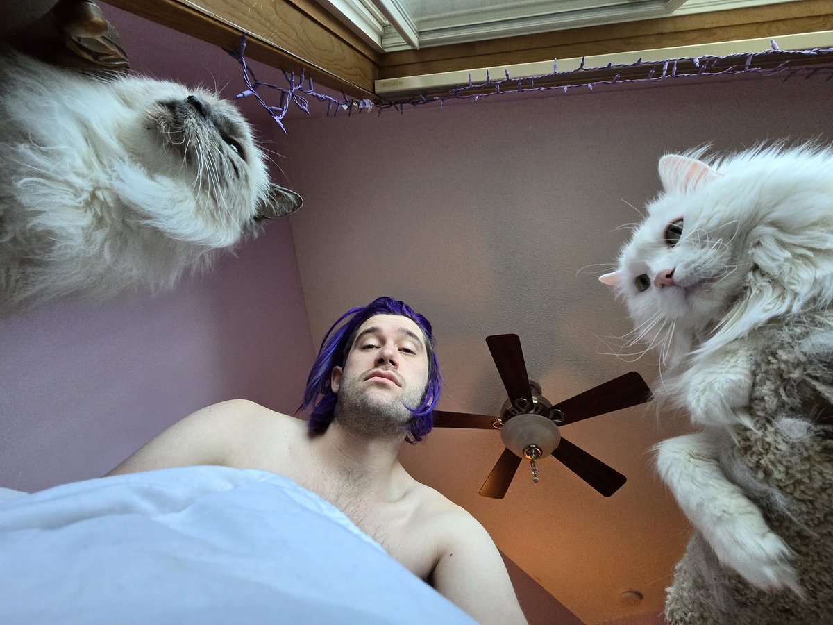 JEThree's tweet image. *chattering at birds*