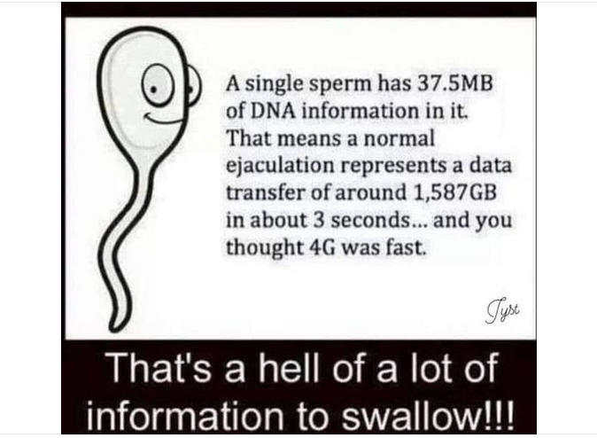 Food for thought  hahaha  yeah I said it! https://t.co/cWocPpBFuT