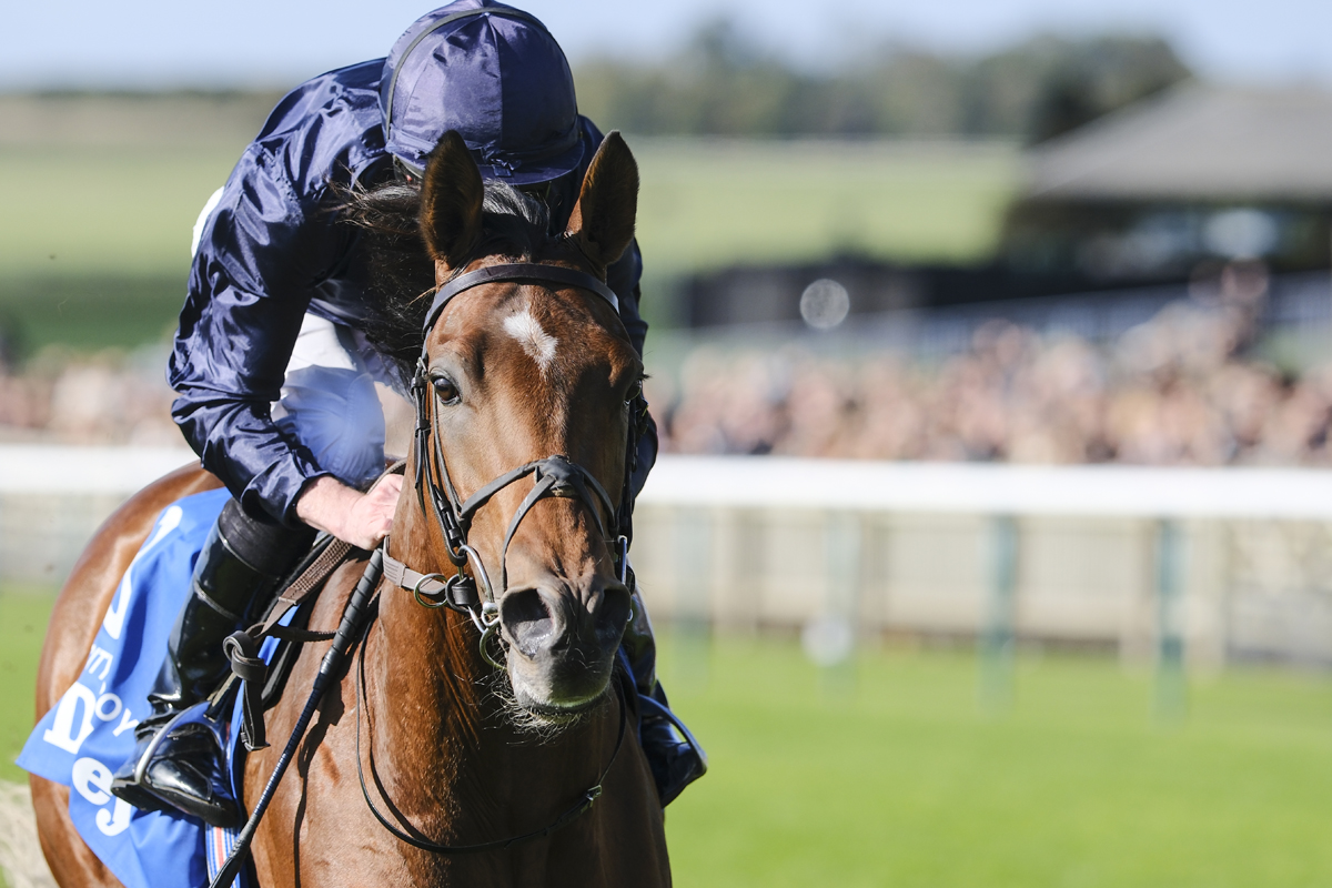 City of Troy and many other top QIPCO Guineas contenders remain in the mix after today's scratchings deadline. Read more here: thejockeyclub.co.uk/newmarket/medi…